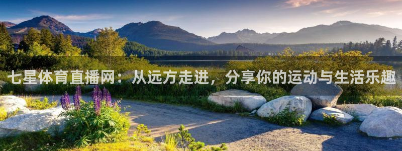 nba直播在线88看球：七星体育直播网：从远方走进，分享你的运动与生活乐趣