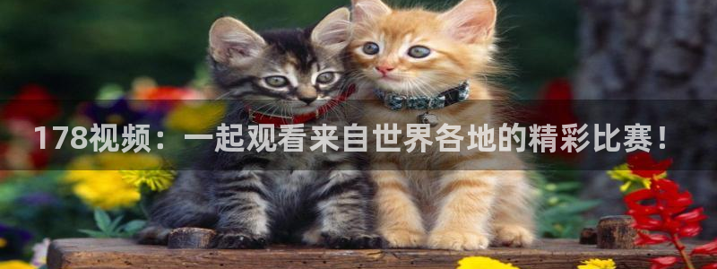 88看球体育：178视频：一起观看来自世界各地的精彩比赛！