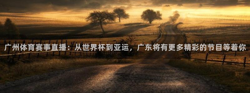 88看球免费直播官网：广州体育赛事直播：从世界杯到亚运，广东将有更多精彩的节目等着你