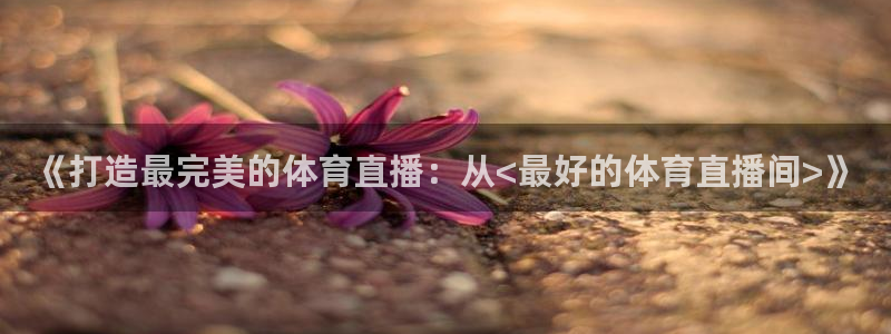 88看球nba直播免费下载：《打造最完美的体育直播：从<最好的体育直播间>》