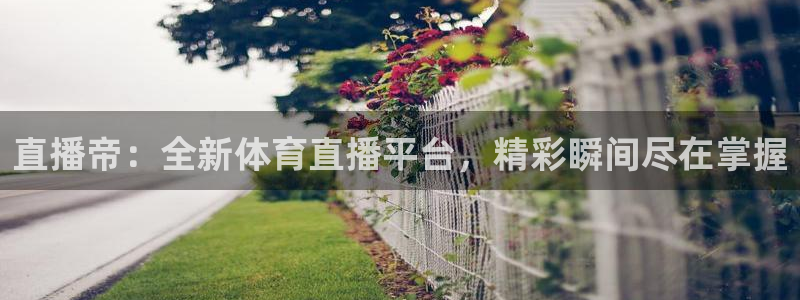 88看球在线看nba：直播帝：全新体育直播平台，精彩瞬间尽在掌握