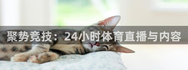 nba直播在线观看88看球官网：聚势竞技：24小时体育直播与内容
